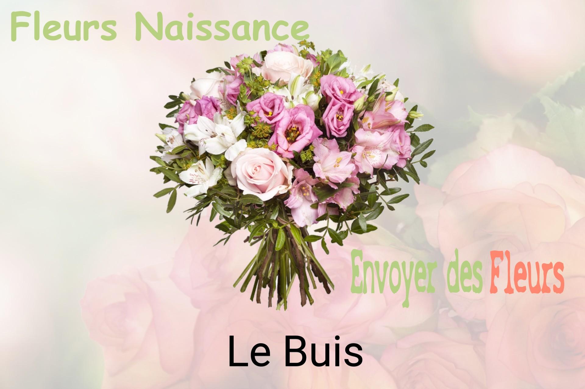 Bouquet de fleurs de naissance livré à Le Buis